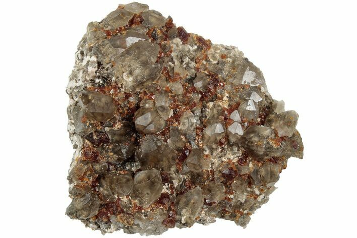 Spessartine Garnets With Smoky Quartz On Feldspar - China #238162